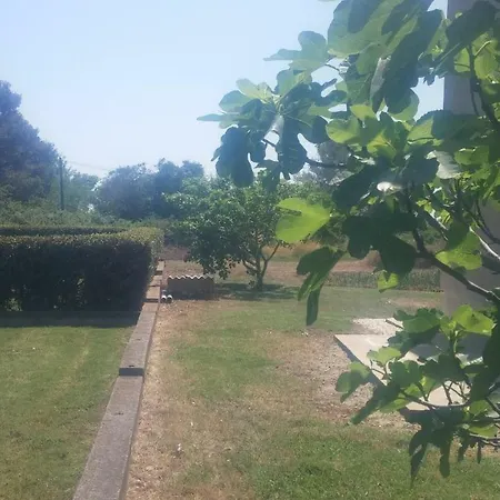 Guest house Holiday House Marija Nin