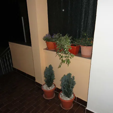 בית הארחה House Marija נין